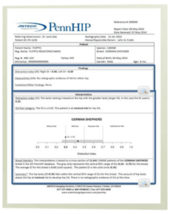 pennhip displasia de cadera