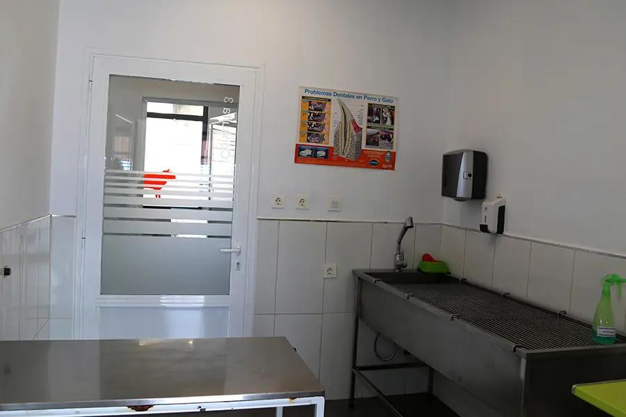 prequirófano